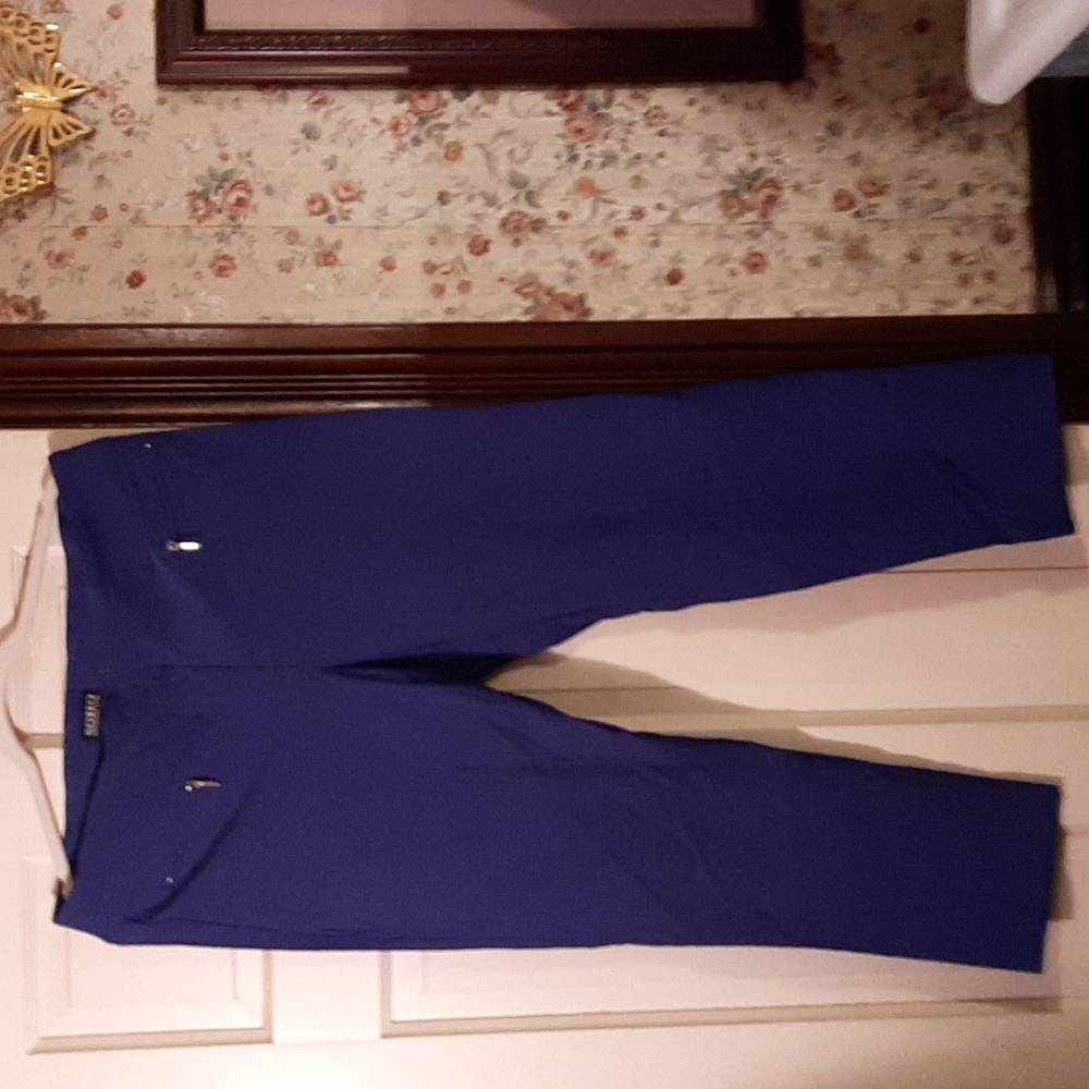 Royal blue stretch ankle pants.  Zipper detailing.  Silver tone zippers.